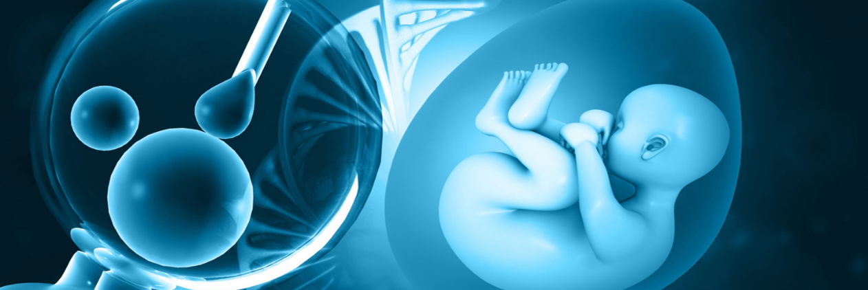 PROS and CONS of IVF