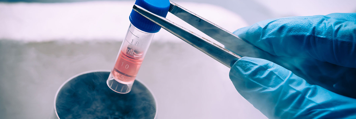 Role Of Frozen Embryo Transfer