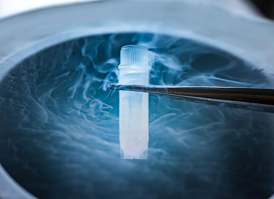 Frozen Embryo Transfer (FET)