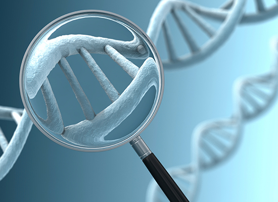 Genetic Tests
