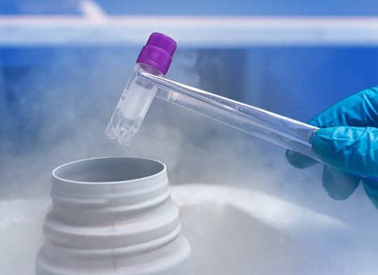 Vitrification or Slow Freezing