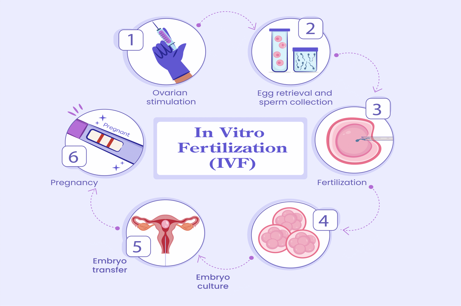 Best IVF Center in Bangalore – Advanced Fertility Treatments at Aikya